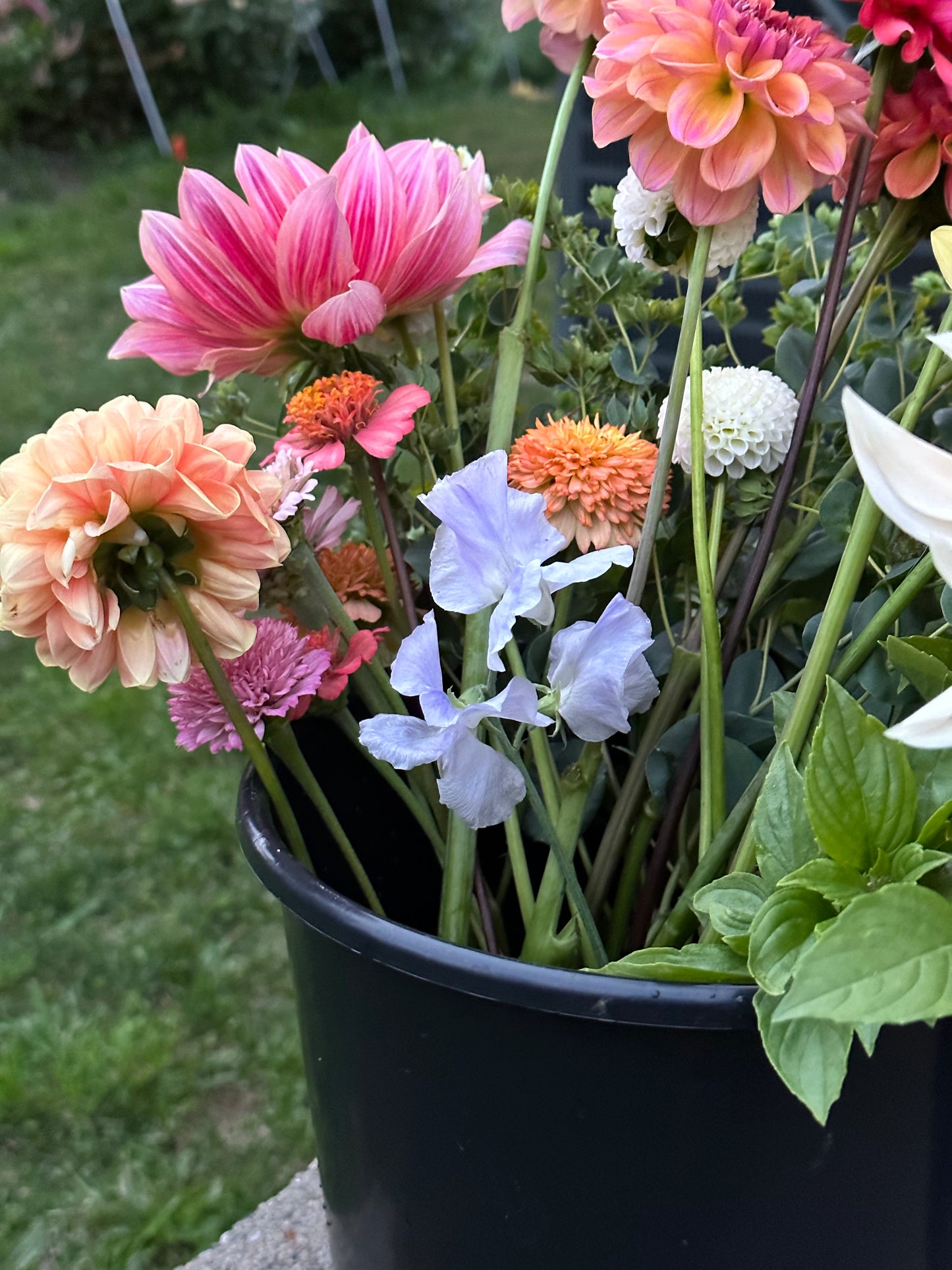 Blooms in Bulk