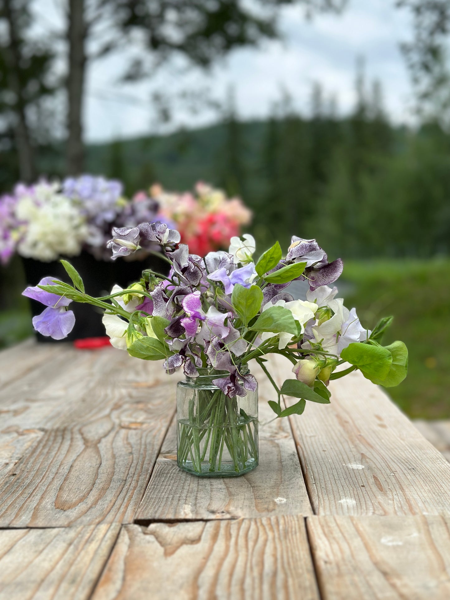 2025 PREORDER - Weekly Honey Jar Posy (1 Month of Flowers)
