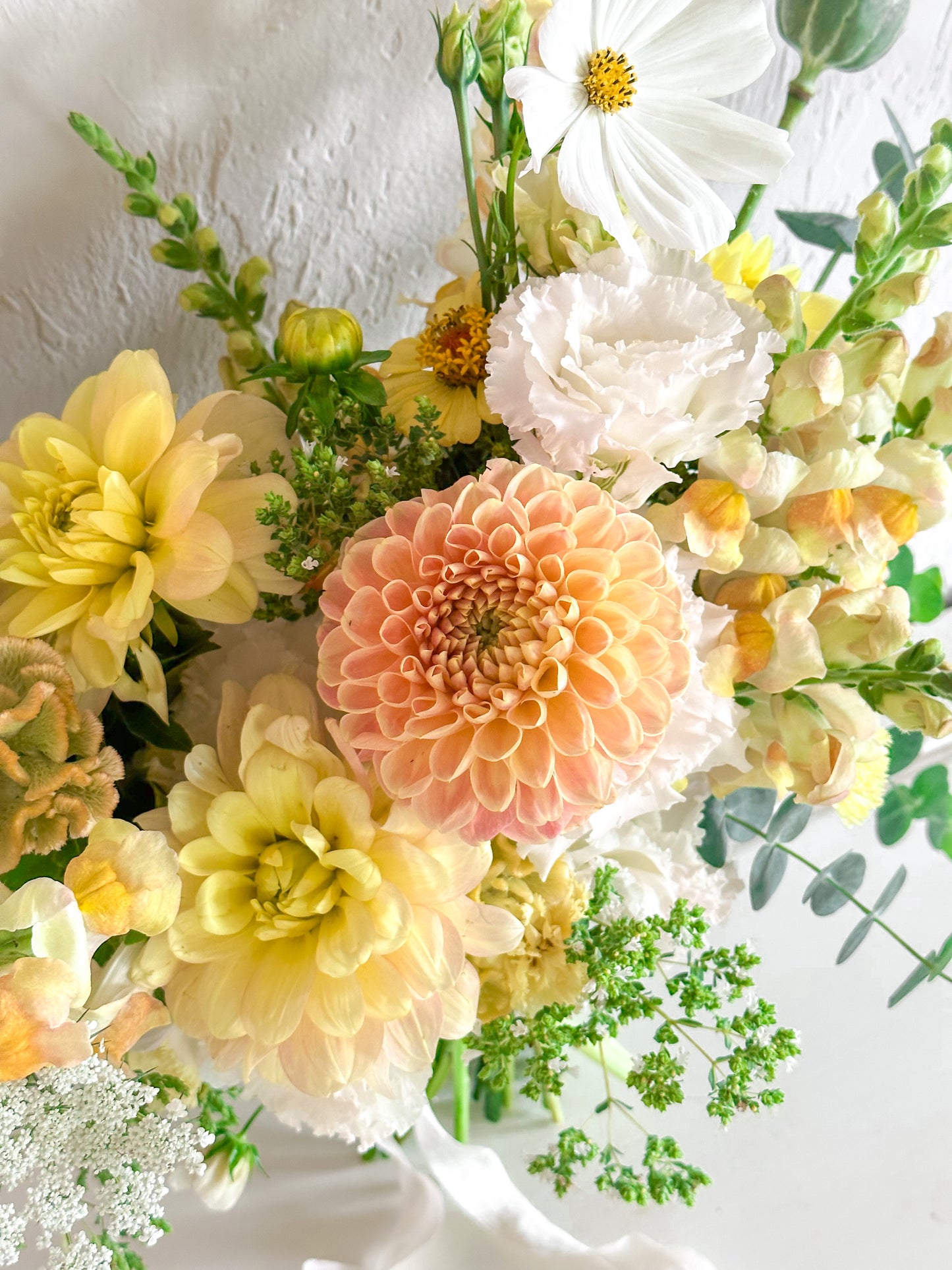 Dahlia ‘Crichton Honey’ tuber